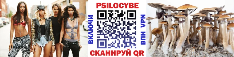 Псилоцибиновые грибы ЛСД  площадка наркотические препараты  Городище 